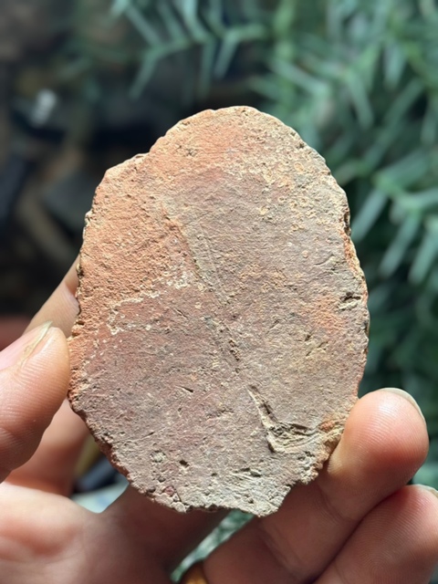 古玩雜項明代.綠度母擦擦(觀音菩薩化身)拍賣,當前價格0元