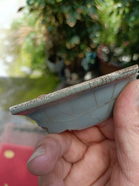 古玩陶瓷南宋官窯標本拍賣,當前價格998元