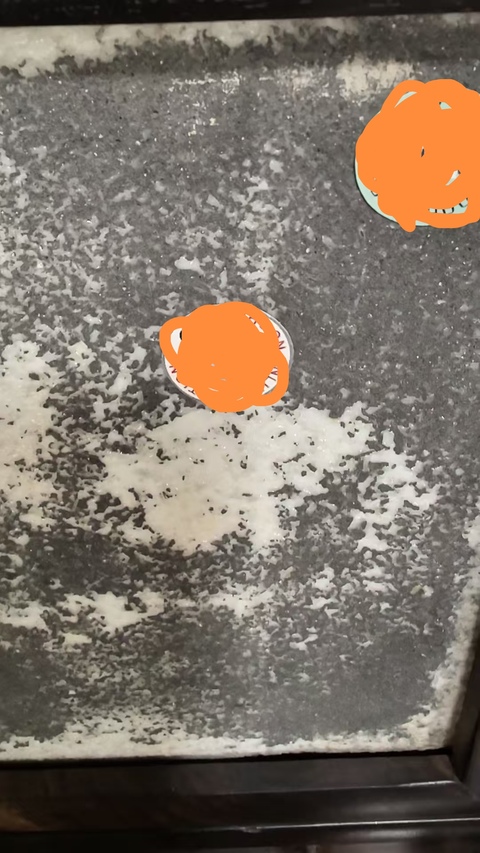 古玩陶瓷漢鐘離瓷板畫真品鑒賞圖