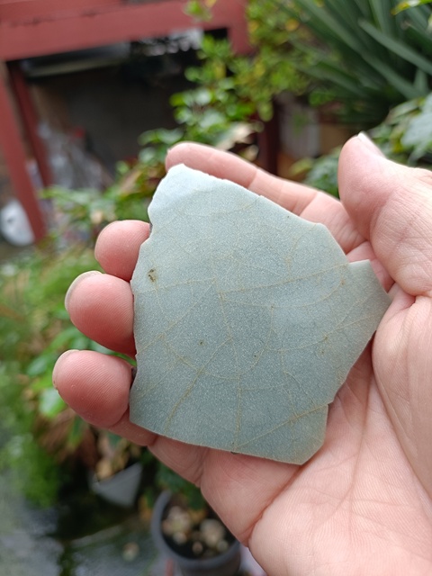 古玩陶瓷南宋龍泉