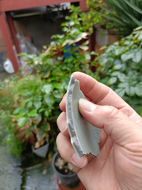 古玩陶瓷南宋龍泉