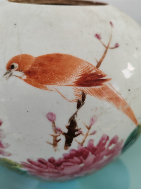 古玩陶瓷粉彩花鳥紋罐，1908年真品鑒賞圖
