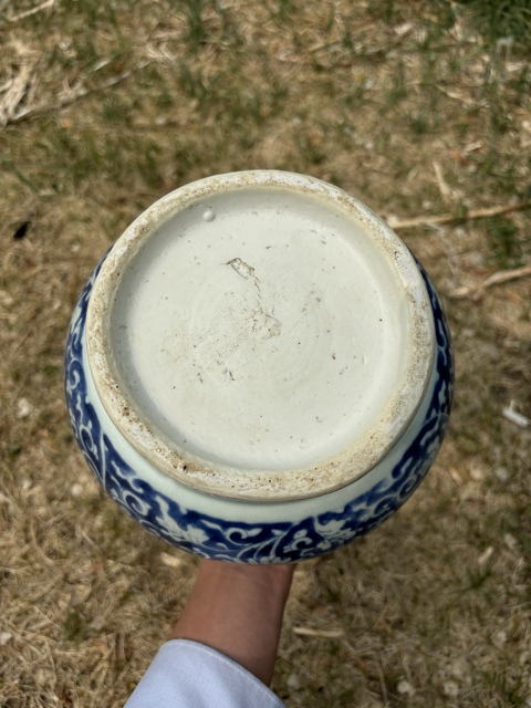 古玩陶瓷明末清初·青花留白纏枝菊花紋長頸瓶 真品鑒賞圖