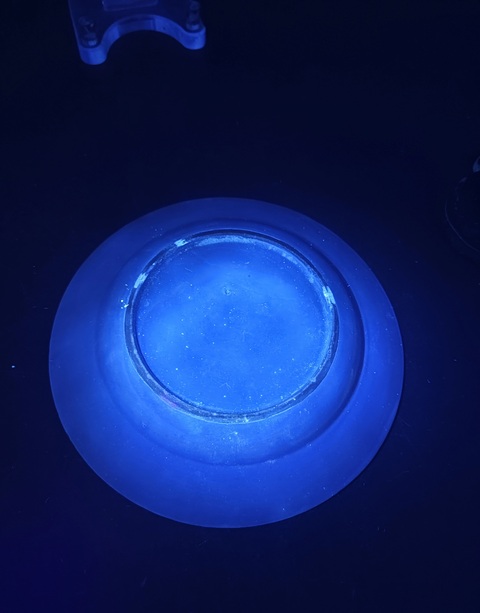 古玩陶瓷青花五彩魚紋盤真品鑒賞圖