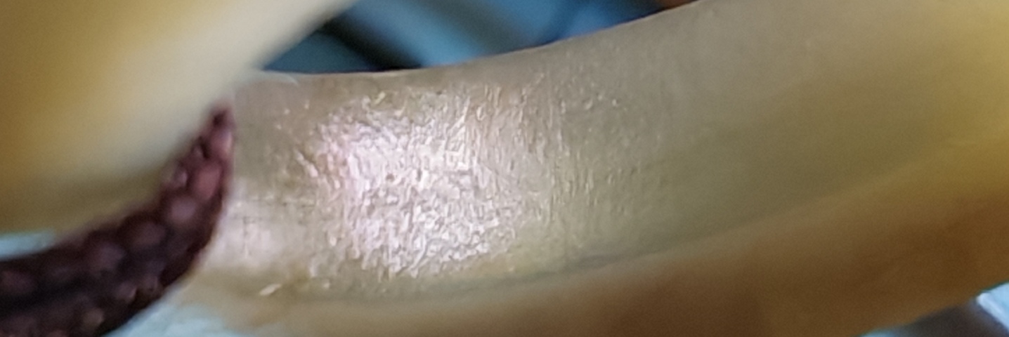 古玩玉器玉煙嘴真品鑒賞圖
