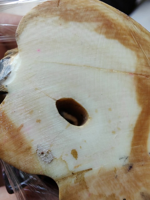 古玩雜項(xiàng)根付真品鑒賞圖