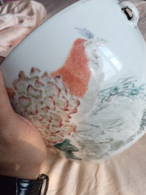 古玩陶瓷淺降彩大公雞紋四系粥罐真品鑒賞圖