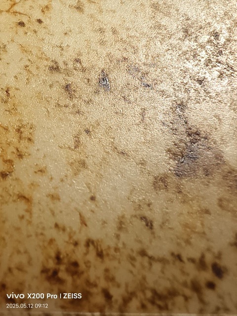 古玩玉器玉牌子真品鑒賞圖