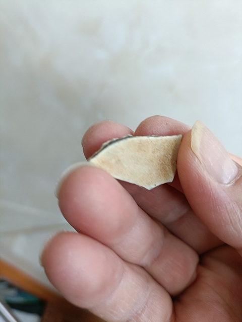 古玩陶瓷官窯標本真品鑒賞圖