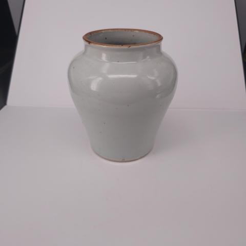 古玩陶瓷清早期白釉醬口罐拍賣,當(dāng)前價(jià)格800元