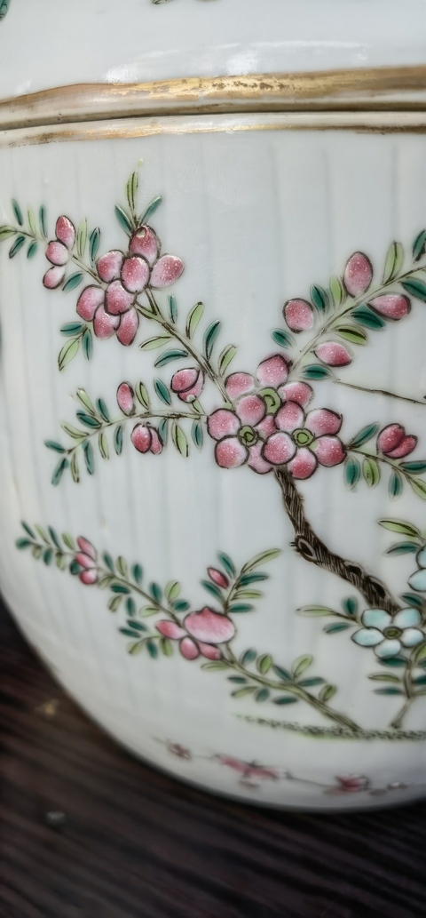 古玩陶瓷粉彩蓋罐真品鑒賞圖