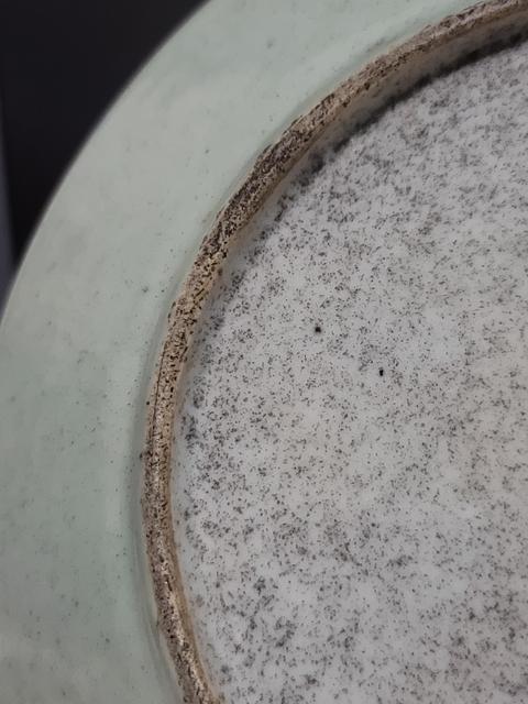 古玩陶瓷晚清道光豆青粉彩花鳥(niǎo)盤(pán)拍賣,當(dāng)前價(jià)格580元
