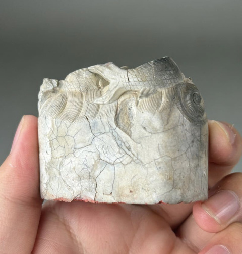 古玩雜項印真品鑒賞圖