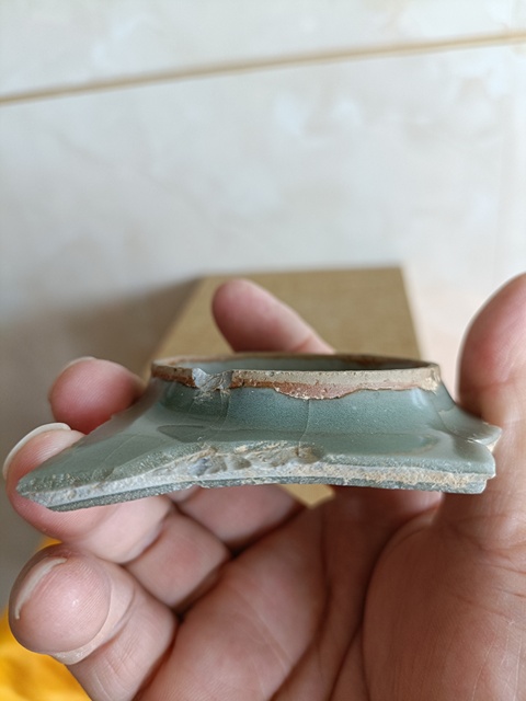 古玩陶瓷南宋龍泉官窯大片整底標本拍賣，當前價格666元