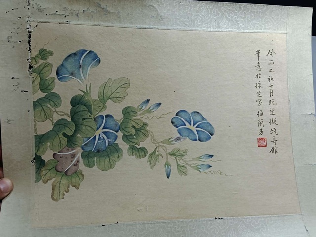 古玩字畫梅蘭芳款花卉真品鑒賞圖