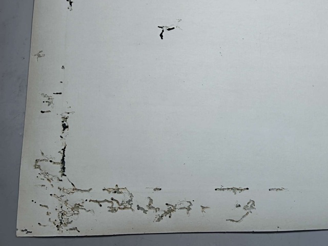 古玩字畫梅蘭芳款花卉真品鑒賞圖