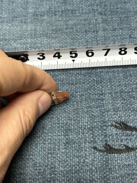 古玩陶瓷宋元精品老瑪瑙菱型珠拍賣,當前價格89元