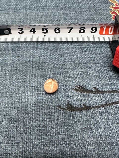 古玩陶瓷宋元精品老瑪瑙珠拍賣，當(dāng)前價(jià)格89元