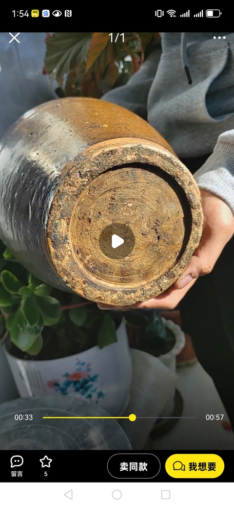 古玩陶瓷褐釉刻水波紋梅瓶真品鑒賞圖