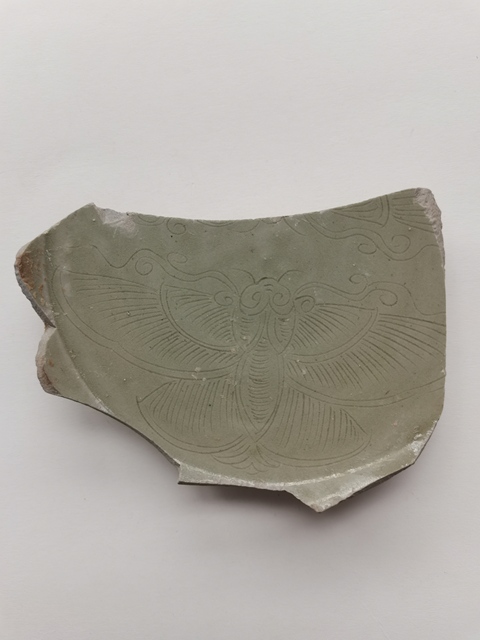 古玩陶瓷越窯青瓷刻蝴蝶紋標本真品鑒賞圖