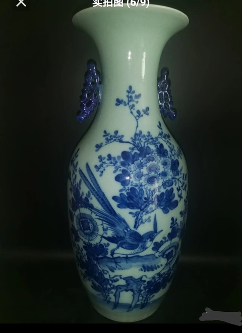 古玩陶瓷精美清代晚期花鳥紋青花大瓶拍賣,當(dāng)前價格2000元