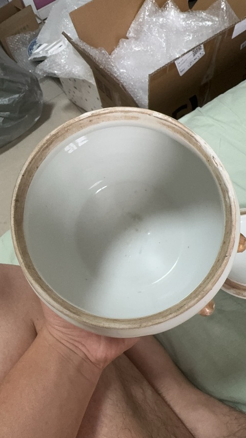 古玩陶瓷花蝶紋粉彩四系粥罐真品鑒賞圖