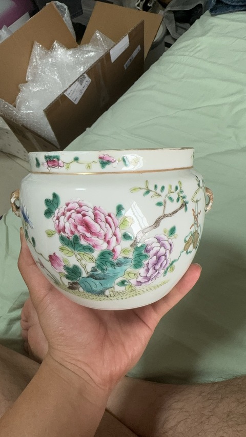 古玩陶瓷花蝶紋粉彩四系粥罐真品鑒賞圖