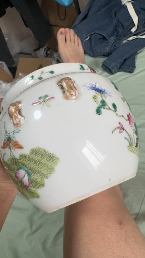 古玩陶瓷花蝶紋粉彩四系粥罐真品鑒賞圖