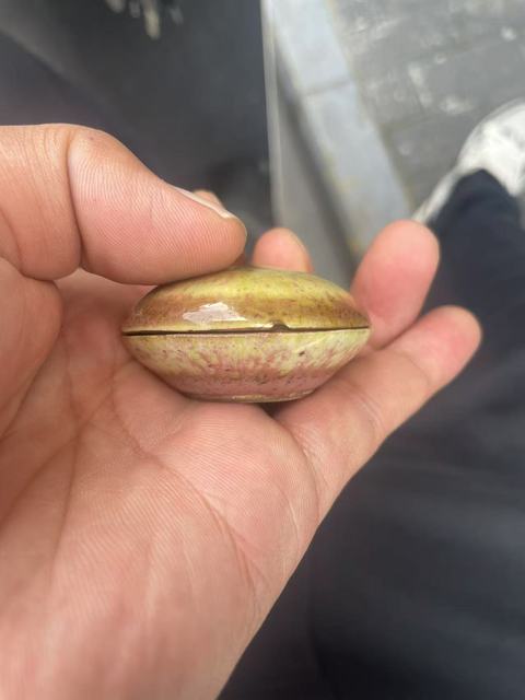 古玩陶瓷晚清豇豆紅釉印盒拍賣，當前價格4500元