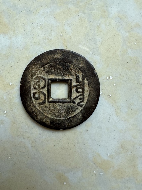 古玩錢幣戶部光緒元寶二十文銅元真品鑒賞圖