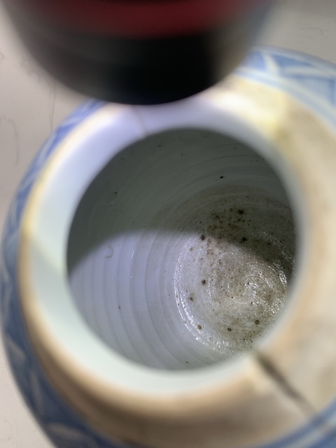 古玩陶瓷青花留白冰梅紋罐真品鑒賞圖