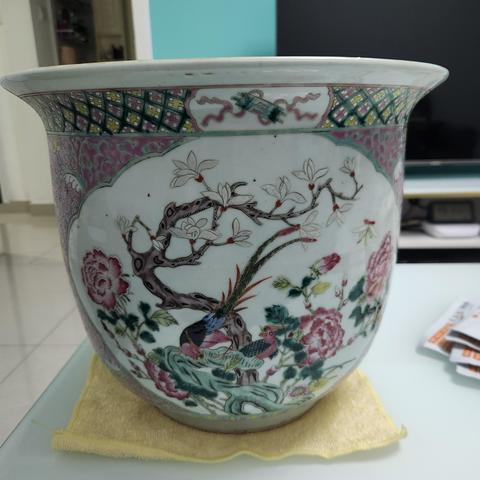 清晚期胭脂紅開窗粉彩孔雀牡丹大花盆拍賣，當前價格12800元
