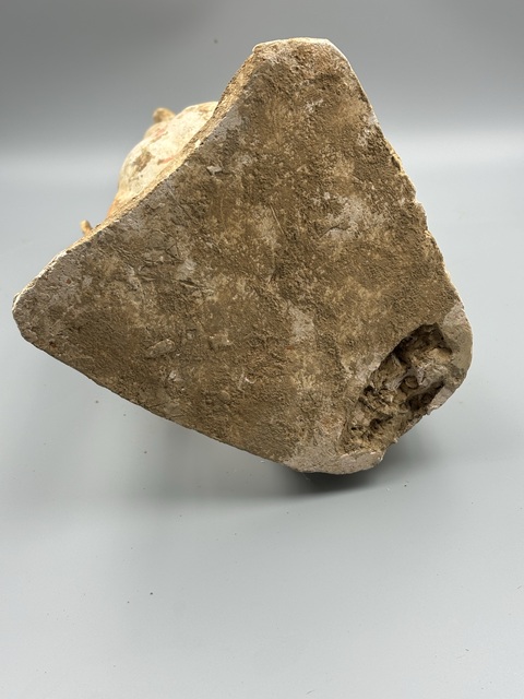 古玩陶瓷隋唐·好基友拍賣,當前價格8500元