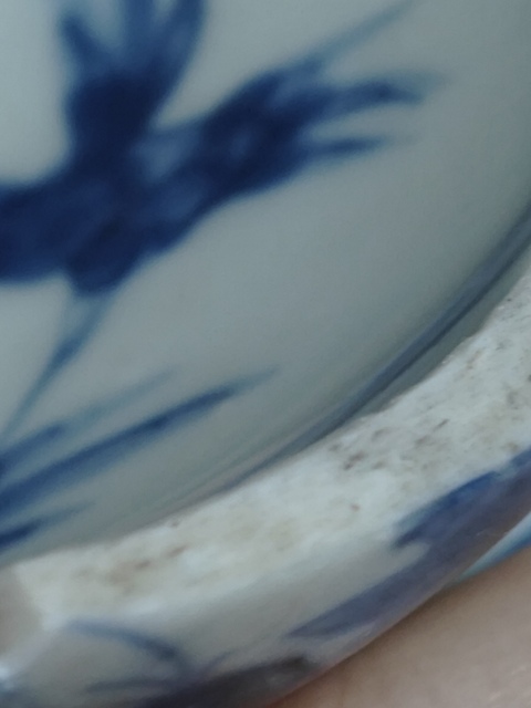 古玩陶瓷芝蘭軒制款康熙標本真品鑒賞圖