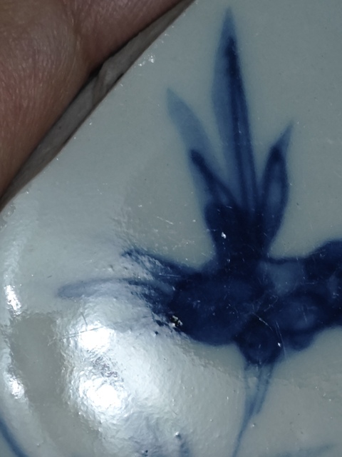 古玩陶瓷芝蘭軒制款康熙標本真品鑒賞圖