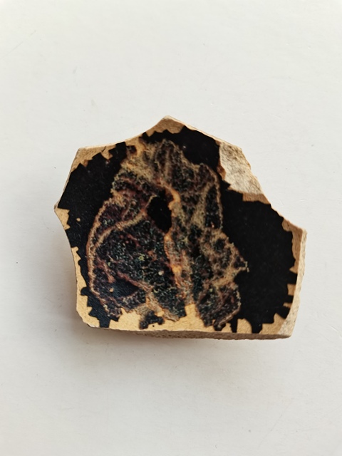古玩陶瓷吉州窯木葉標(biāo)本拍賣,當(dāng)前價(jià)格0元