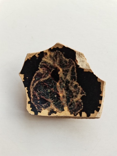 古玩陶瓷吉州窯木葉標(biāo)本拍賣,當(dāng)前價(jià)格0元