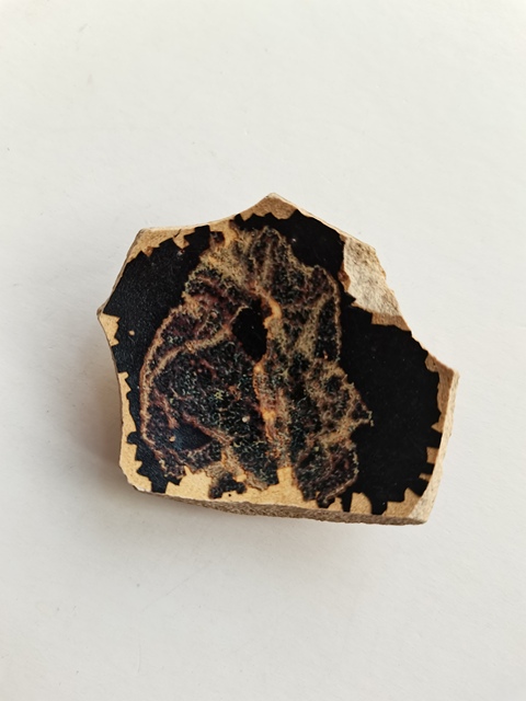 古玩陶瓷吉州窯木葉標(biāo)本拍賣,當(dāng)前價(jià)格0元