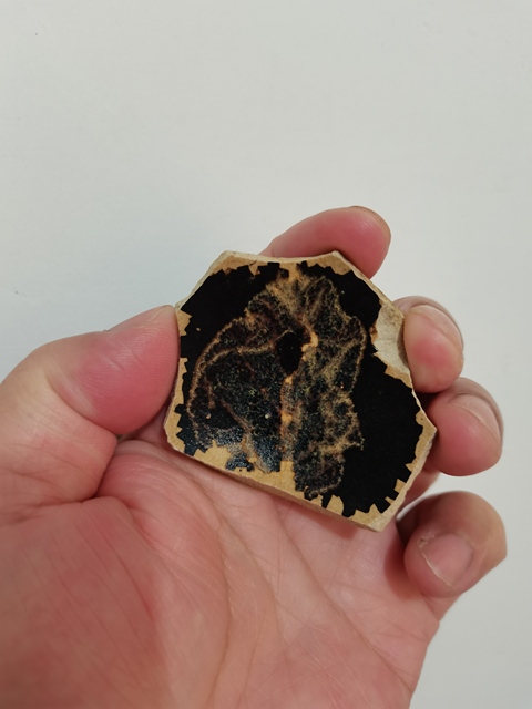 古玩陶瓷吉州窯木葉標(biāo)本拍賣,當(dāng)前價(jià)格0元
