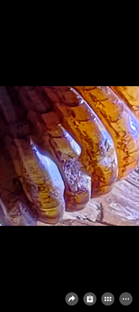 古玩雜項角雕南瓜掛件真品鑒賞圖