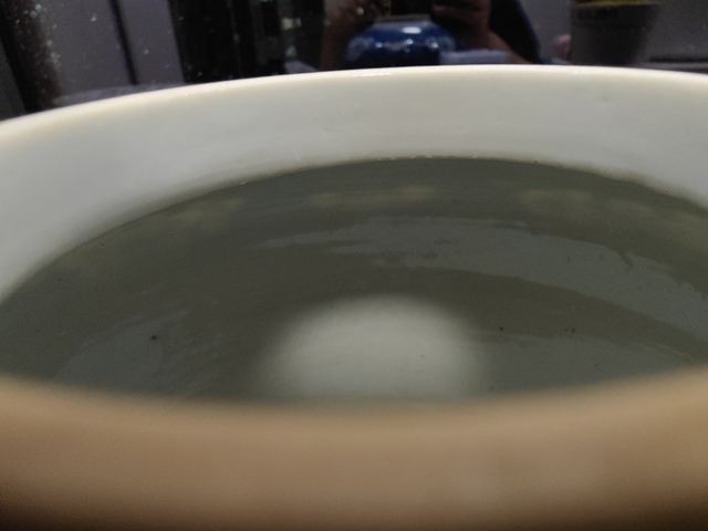 古玩陶瓷青花留白冰梅紋罐真品鑒賞圖