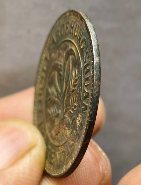 古玩錢(qián)幣湖南洪憲當(dāng)十銅元真品鑒賞圖