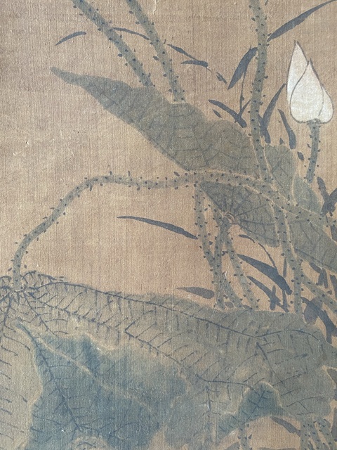 古玩字畫荷韻真品鑒賞圖