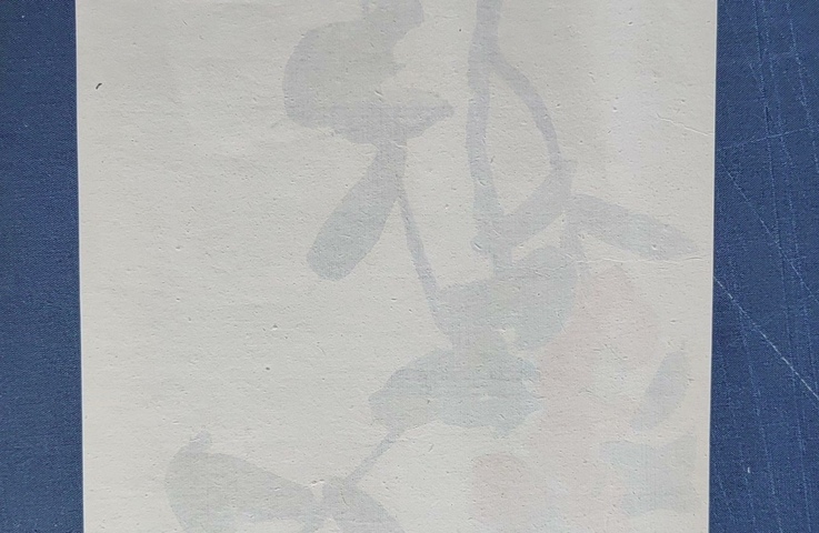 古玩字畫8090年代《齊白石木板水印》真品鑒賞圖