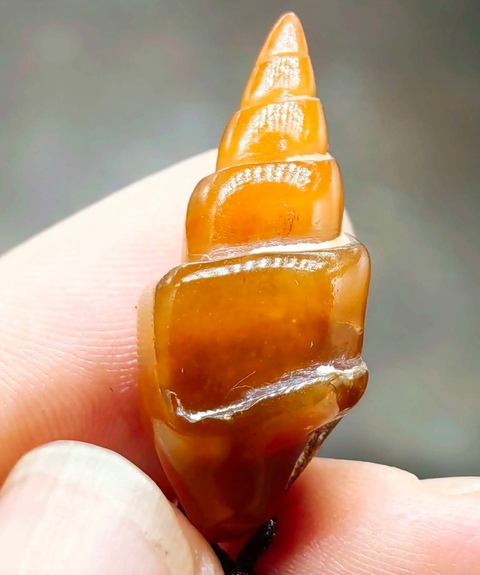 古玩雜項精美遠古時期玉螺**拍賣,當前價格388元
