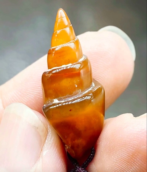 古玩雜項精美遠古時期玉螺**拍賣,當前價格388元