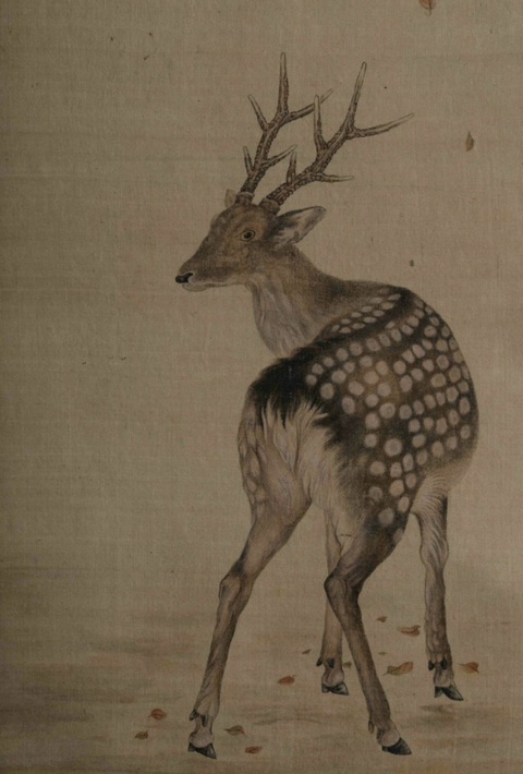 古玩字畫麇鹿真品鑒賞圖