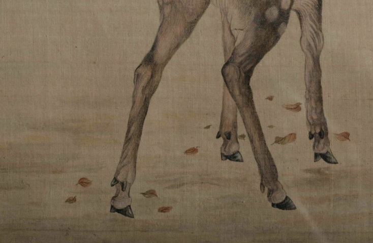 古玩字畫麇鹿真品鑒賞圖