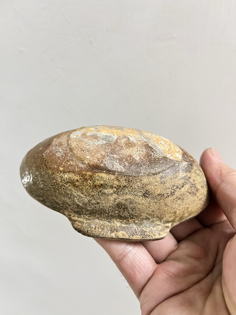 古玩陶瓷青釉耳杯拍賣,當(dāng)前價(jià)格999元