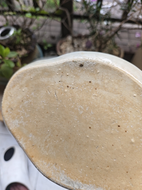 古玩陶瓷乾隆青花海棠型茶盤拍賣,當前價格550元